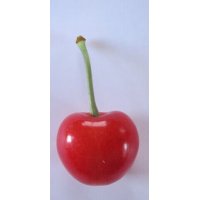 佐藤錦2Lサイズ 700g(350g2ｐ入)1箱 (クール便)
