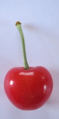 佐藤錦2Lサイズ 700g(350g2ｐ入)1箱 (クール便)