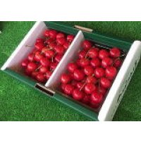 佐藤錦2Lサイズ 500g2P入バラパック1箱(クール便)