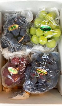 詰合せ( ピオーネ シャインマスカット高尾 ゴルビー)2kg