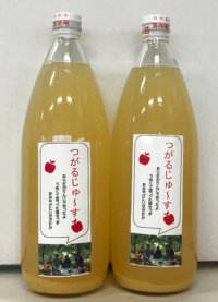 サンつがる100％ジュース2本入(550ml)