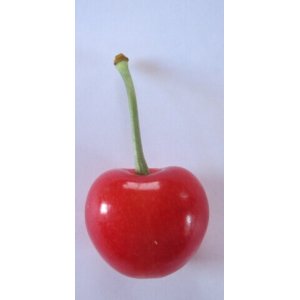 画像: 佐藤錦2Lサイズ 700g(350g2ｐ入)1箱 (クール便)