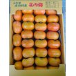 画像1: 庄内柿(渋抜き)5kg箱 (1)