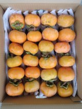 画像: 柿(渋柿・干し柿用)10kg箱