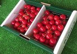 画像: 佐藤錦2Lサイズ 500g2P入バラパック1箱(クール便)