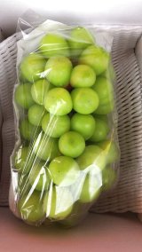 画像: シャインマスカット(1房入)1.2kg×2箱