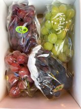 画像: 詰合せ(ピオーネ ロザリオビアンコ 安芸クイーン 高尾)2kg×1箱